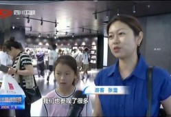 四川新闻爆料良少嫂事件,揭秘背后真相与网络暴力
