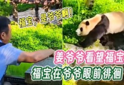 福宝爷爷爆料福宝视频下载,福宝视频下载攻略大公开