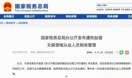 网红缴税爆料案例视频,揭秘网络红人税务问题背后的真相