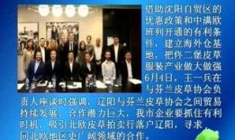 最新辽阳爆料事件新闻,揭秘背后真相与争议焦点