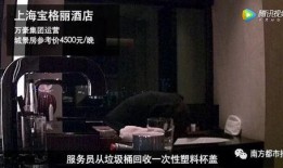 四季最新爆料视频大全,精彩瞬间尽收眼底
