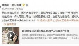 新年爆料鸥鸥视频,鸥鸥视频带你揭秘娱乐圈幕后故事