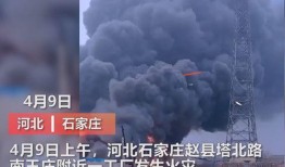 王庄最新爆料新闻视频