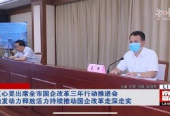 爆料王伟的视频,爆料视频背后的惊人真相